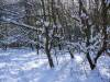 Koldinger Seen im Winter