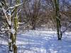 Koldinger Seen im Winter
