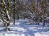 Koldinger Seen im Winter