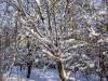Koldinger Seen im Winter