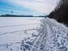 Koldinger Seen im Winter