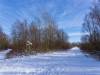 Koldinger Seen im Winter