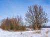 Koldinger Seen im Winter