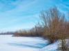Koldinger Seen im Winter