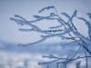 Koldinger Seen im Winter