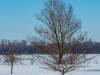 Koldinger Seen im Winter