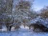 Koldinger Seen im Winter