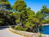 Veli Losinj