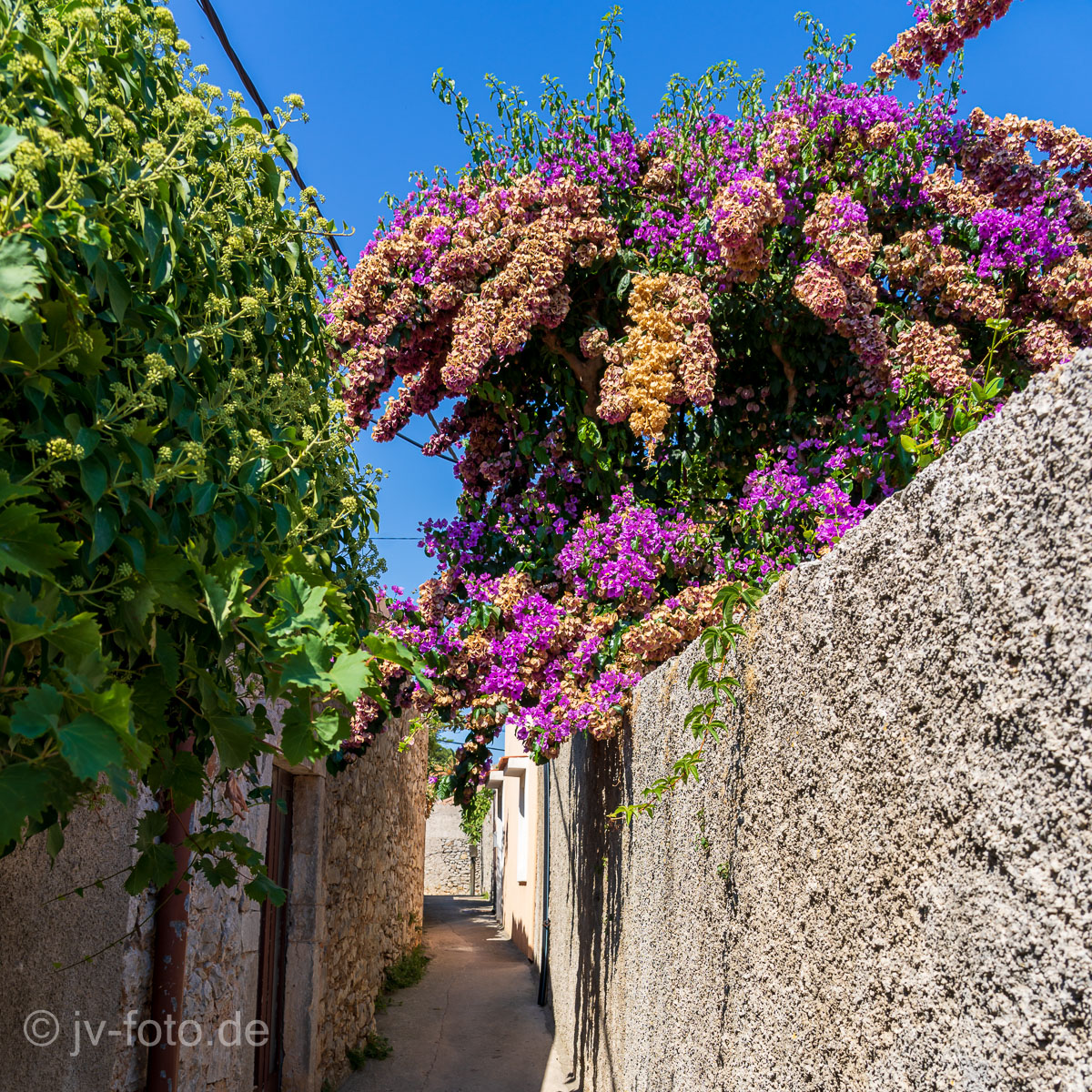 Veli Losinj