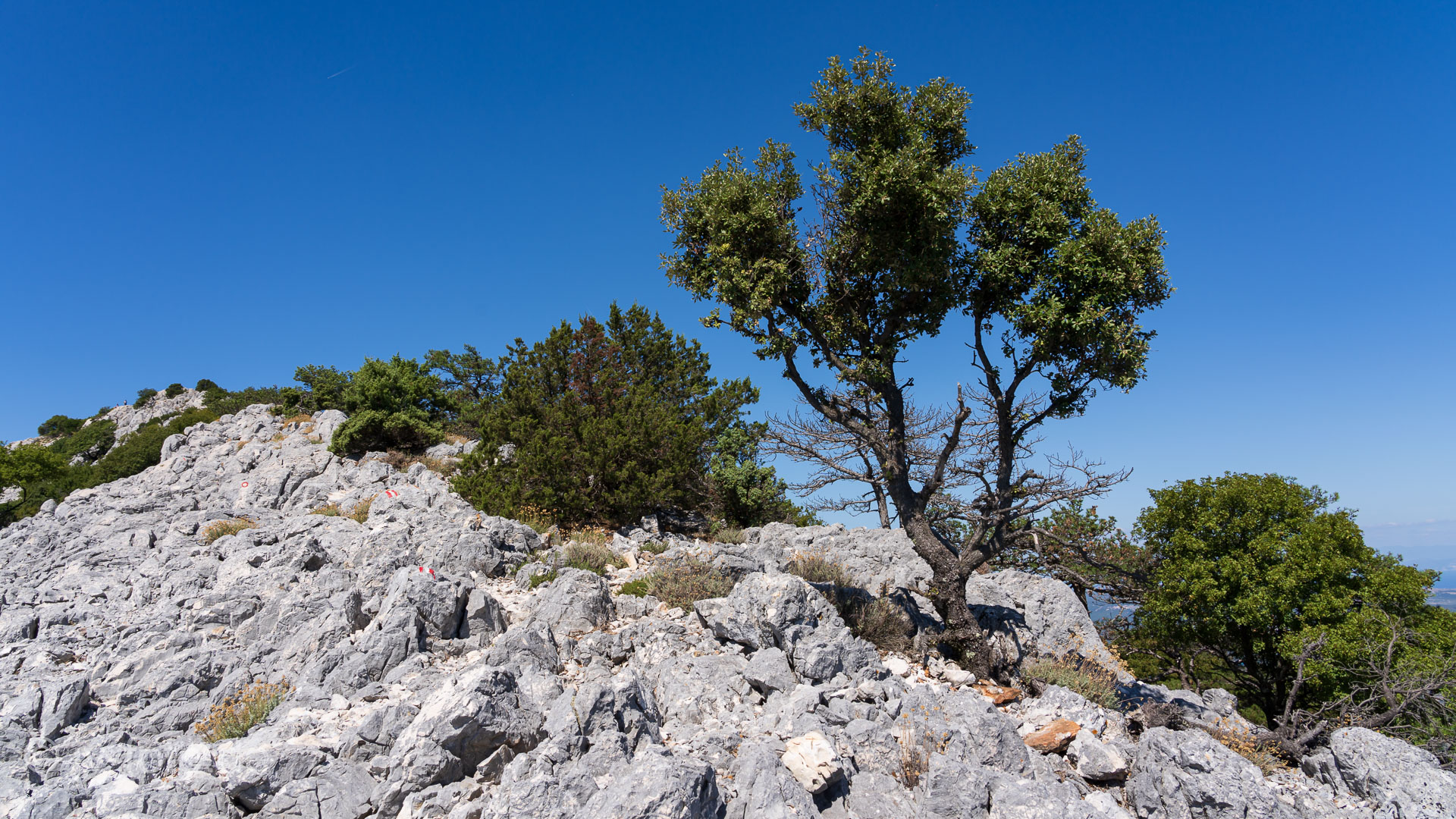 Bergwanderung auf Cres
