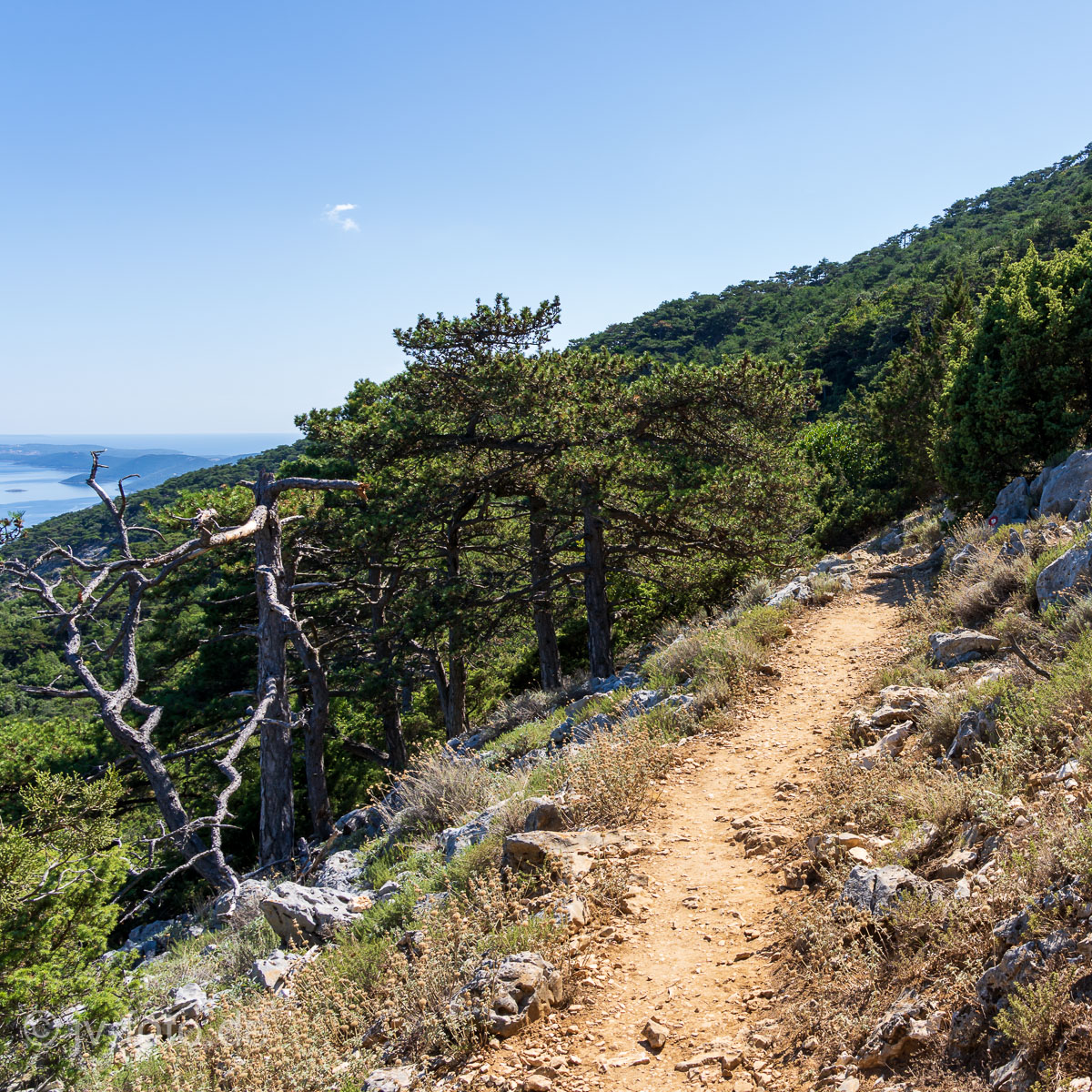 Bergwanderung auf Cres