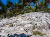 Bergwanderung auf Cres