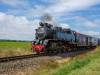 Molli