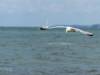 Wittenbeck