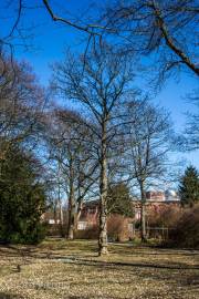 Lindener Berg