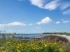 Klintholm Havn