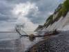 Møns Klint