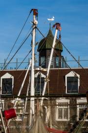 Neuharlingersiel