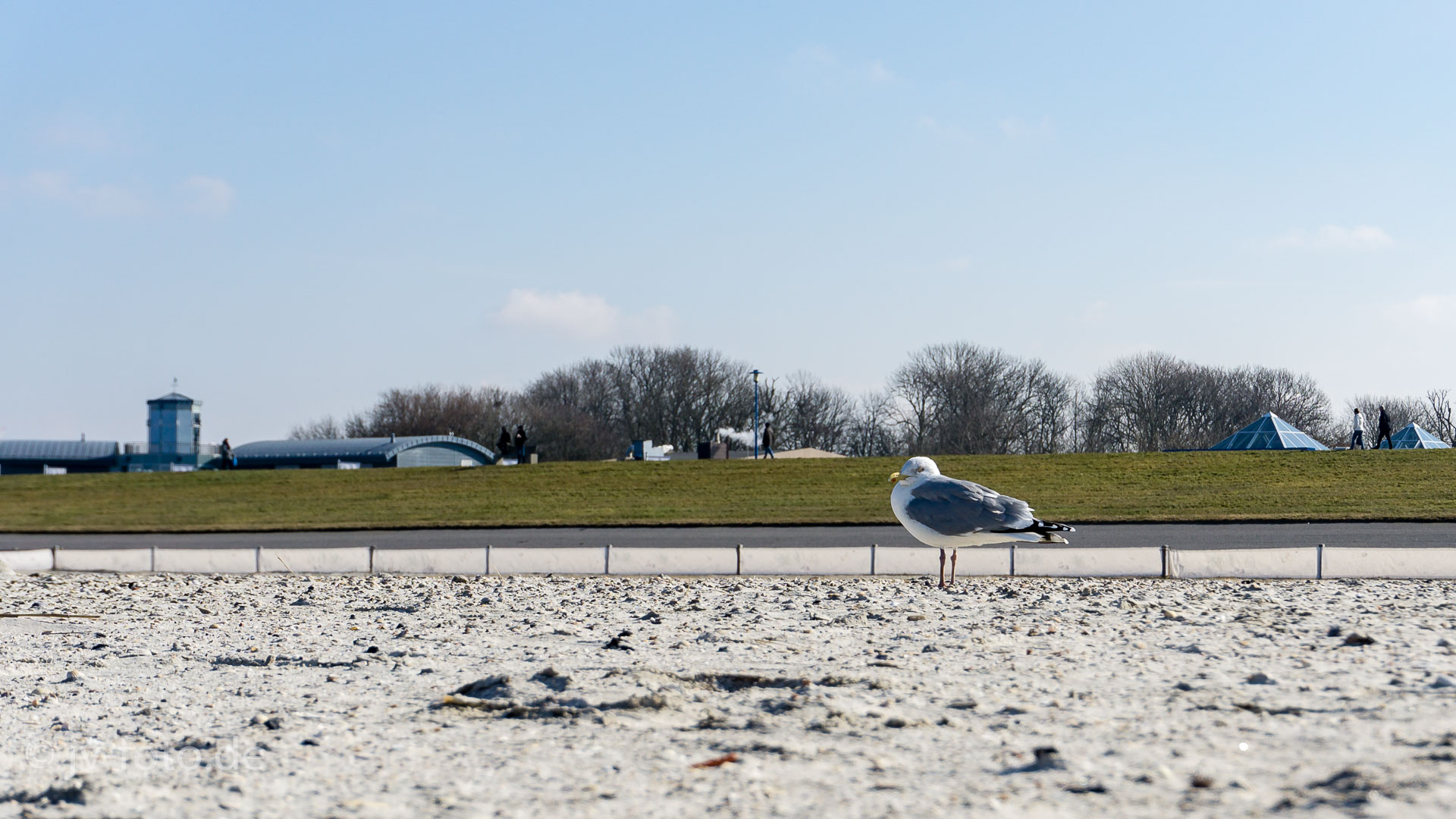 Am Strand