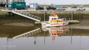 Ebbe am Hafen