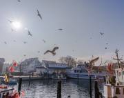 Niendorf Ostsee