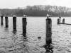 Travemünde
