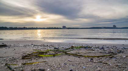 Niendorfer Strand am Abend