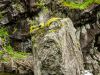 097_norwegen2012