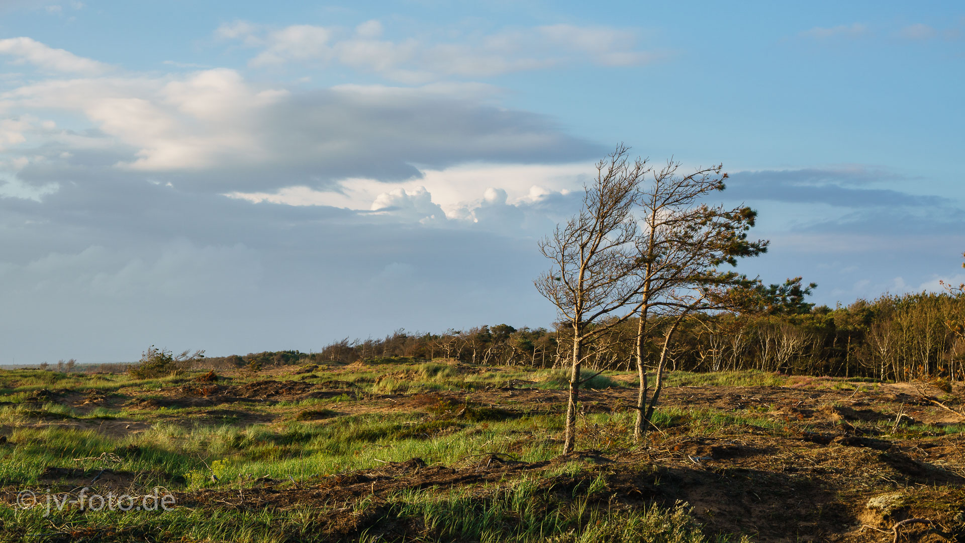 Mellbystrand in Schweden