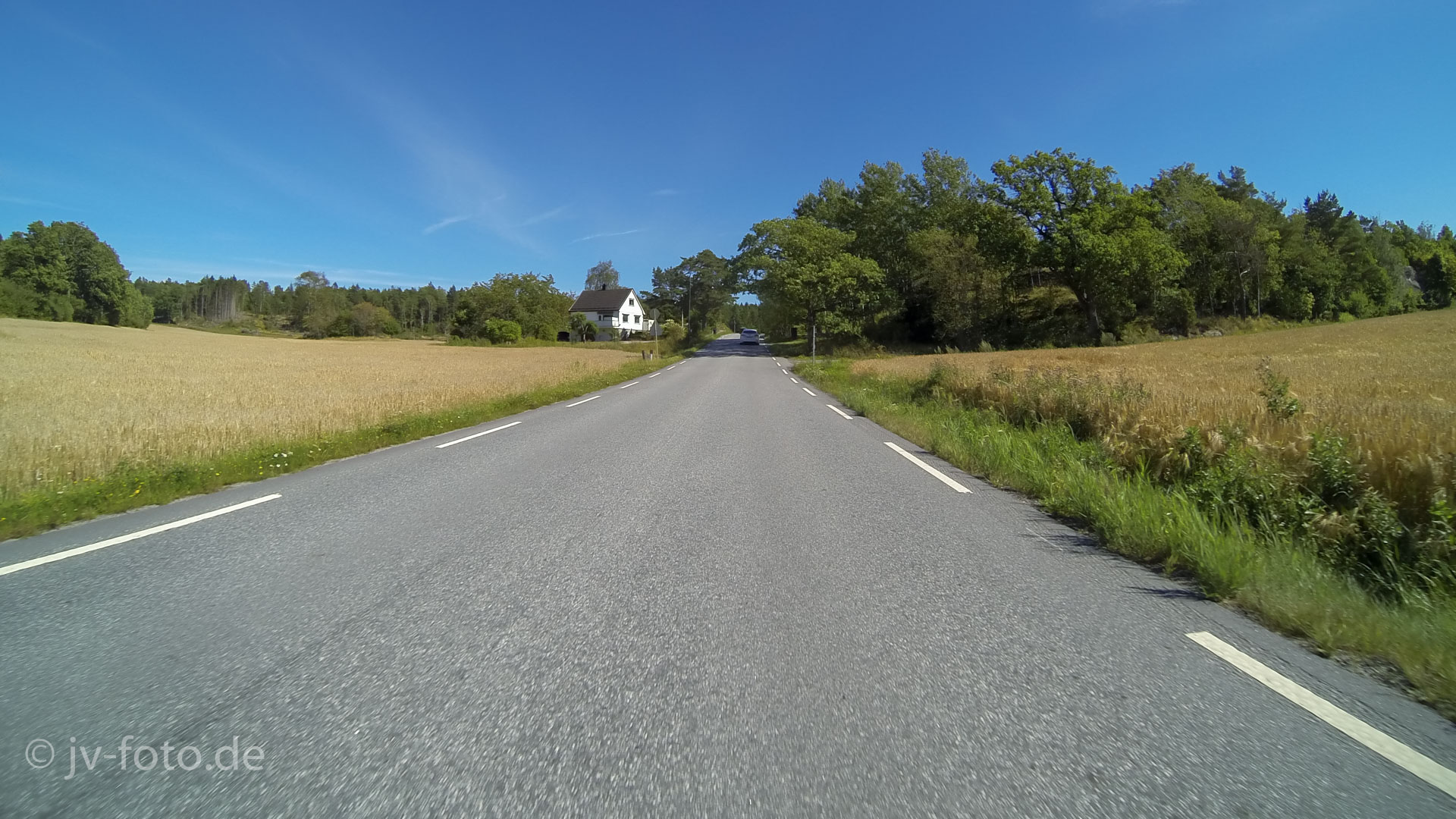 Torsnesveien