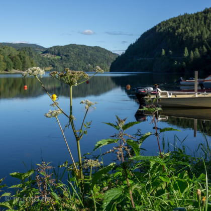Campingplatz am Norefjord