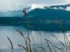 Am Ålvundfjord
