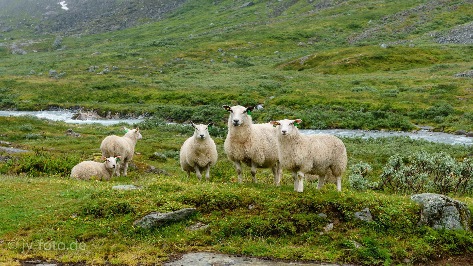 Gamle Strynefjellsvegen