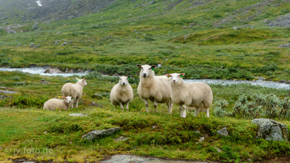 Gamle Strynefjellsvegen