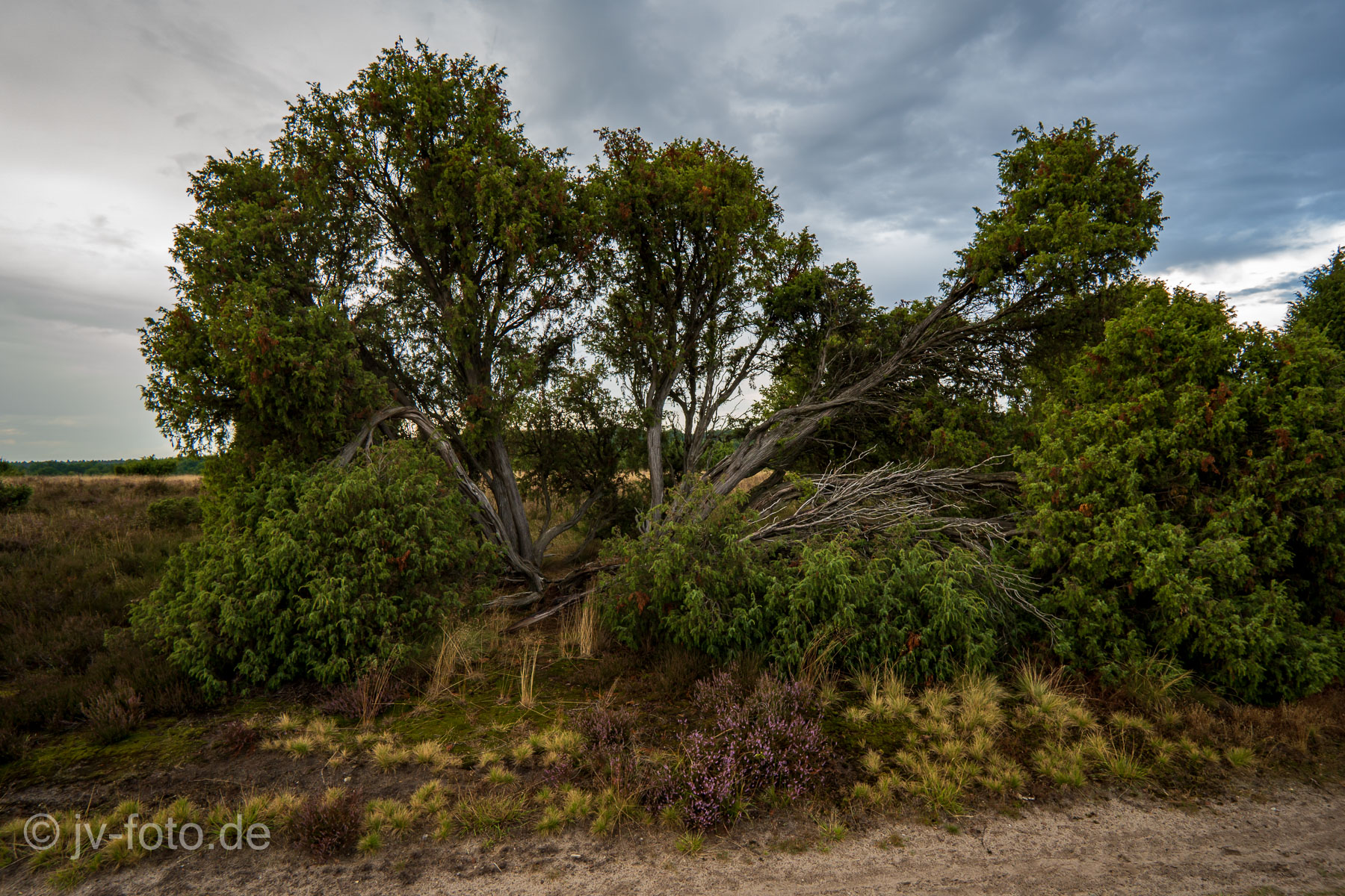 Oberhaverbeck