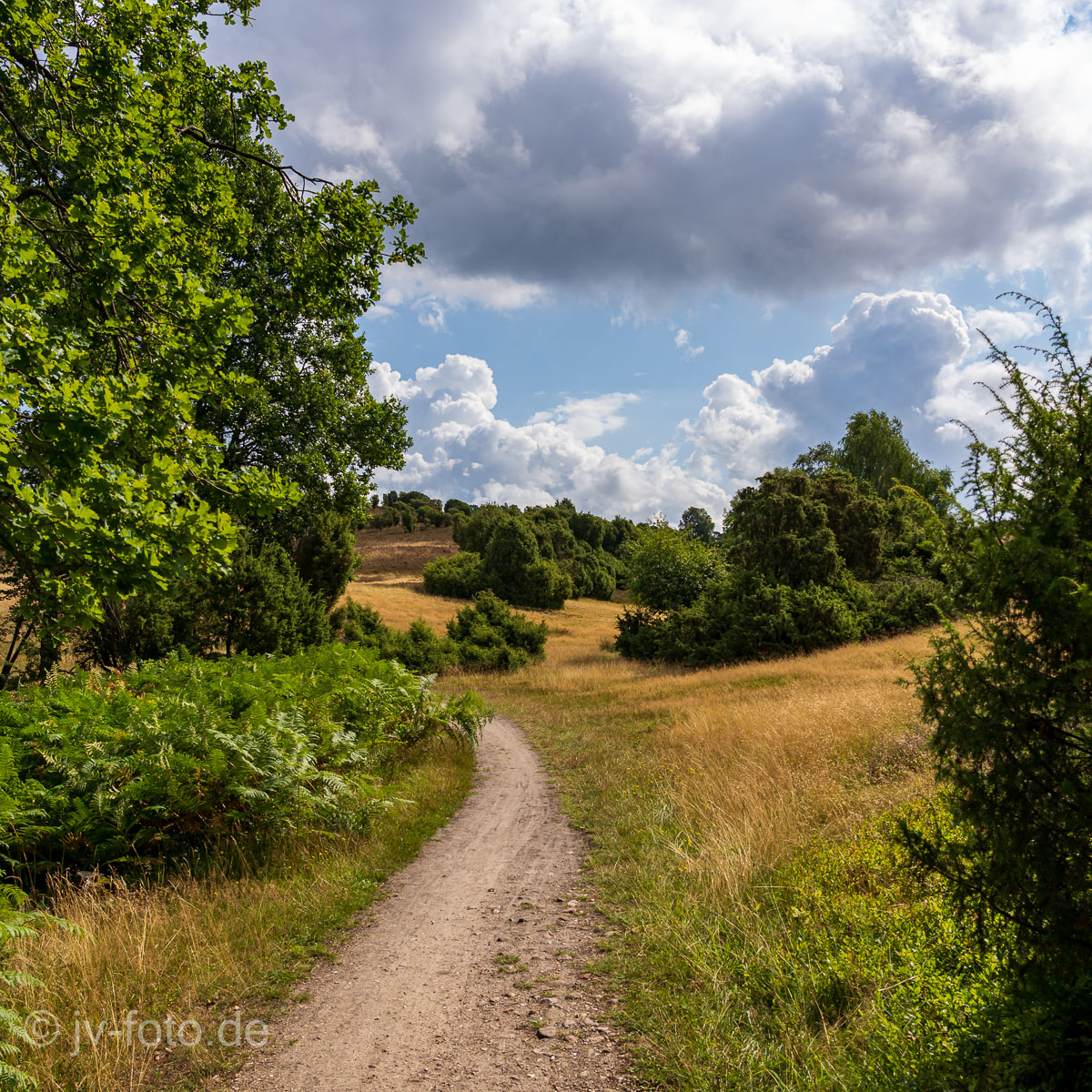 Oberhaverbeck