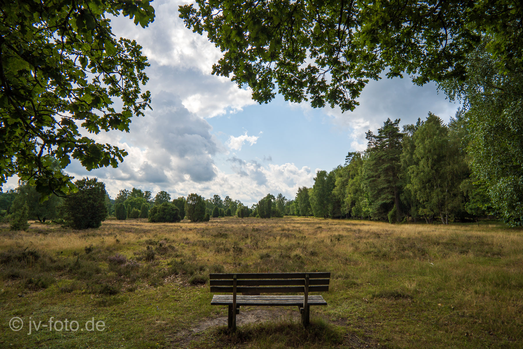 Wilsede