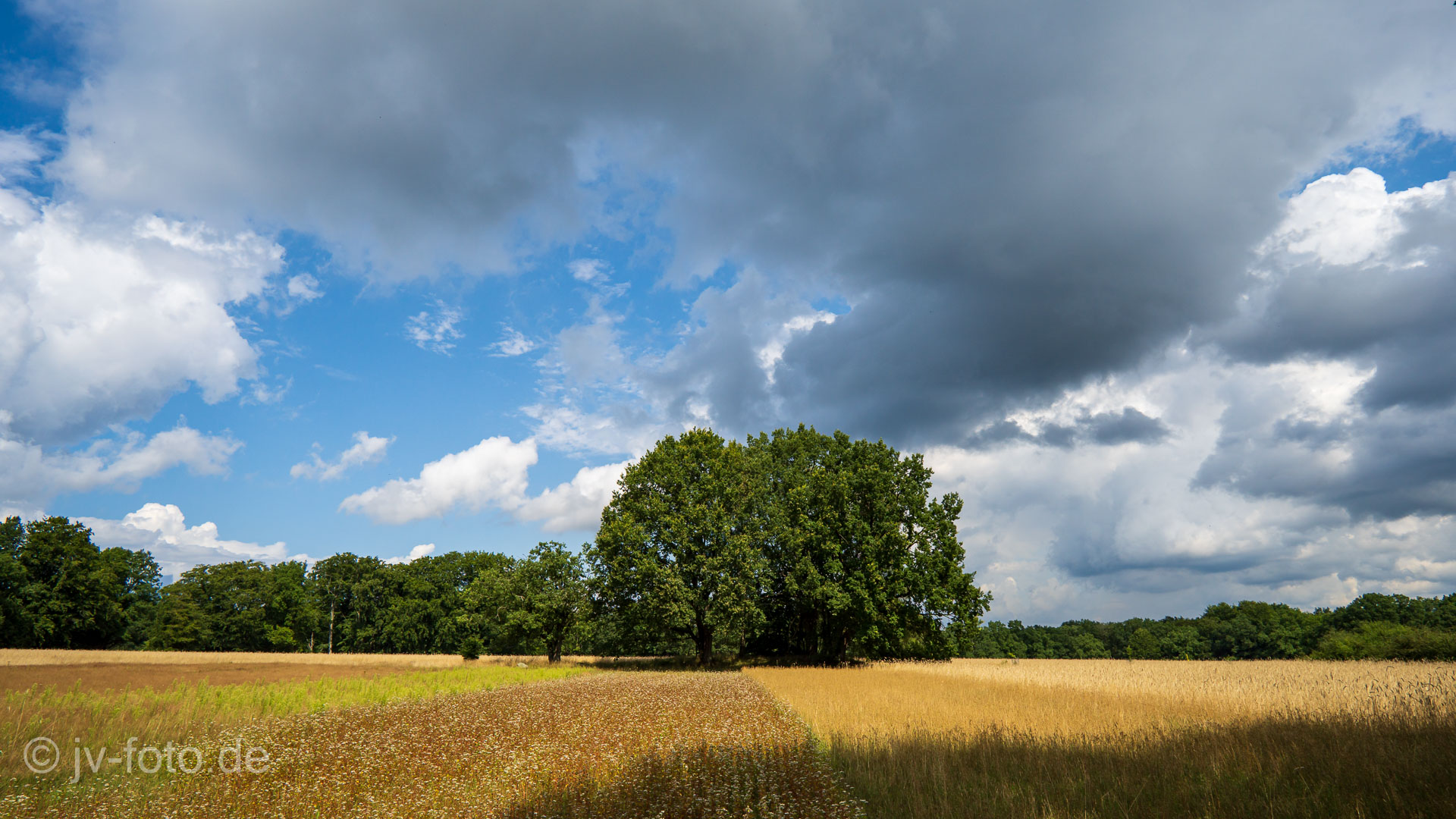 Wilsede