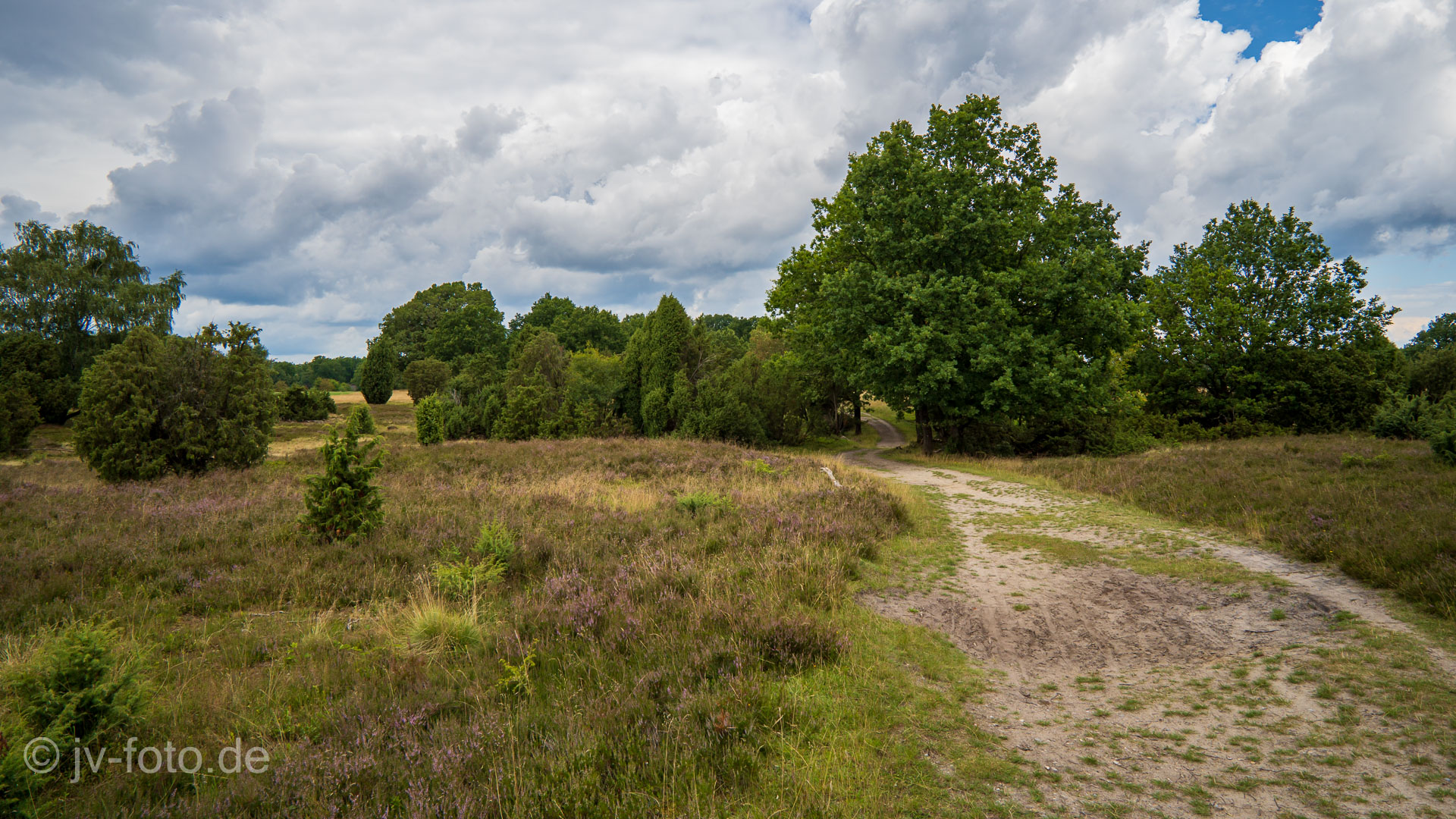 Wilsede
