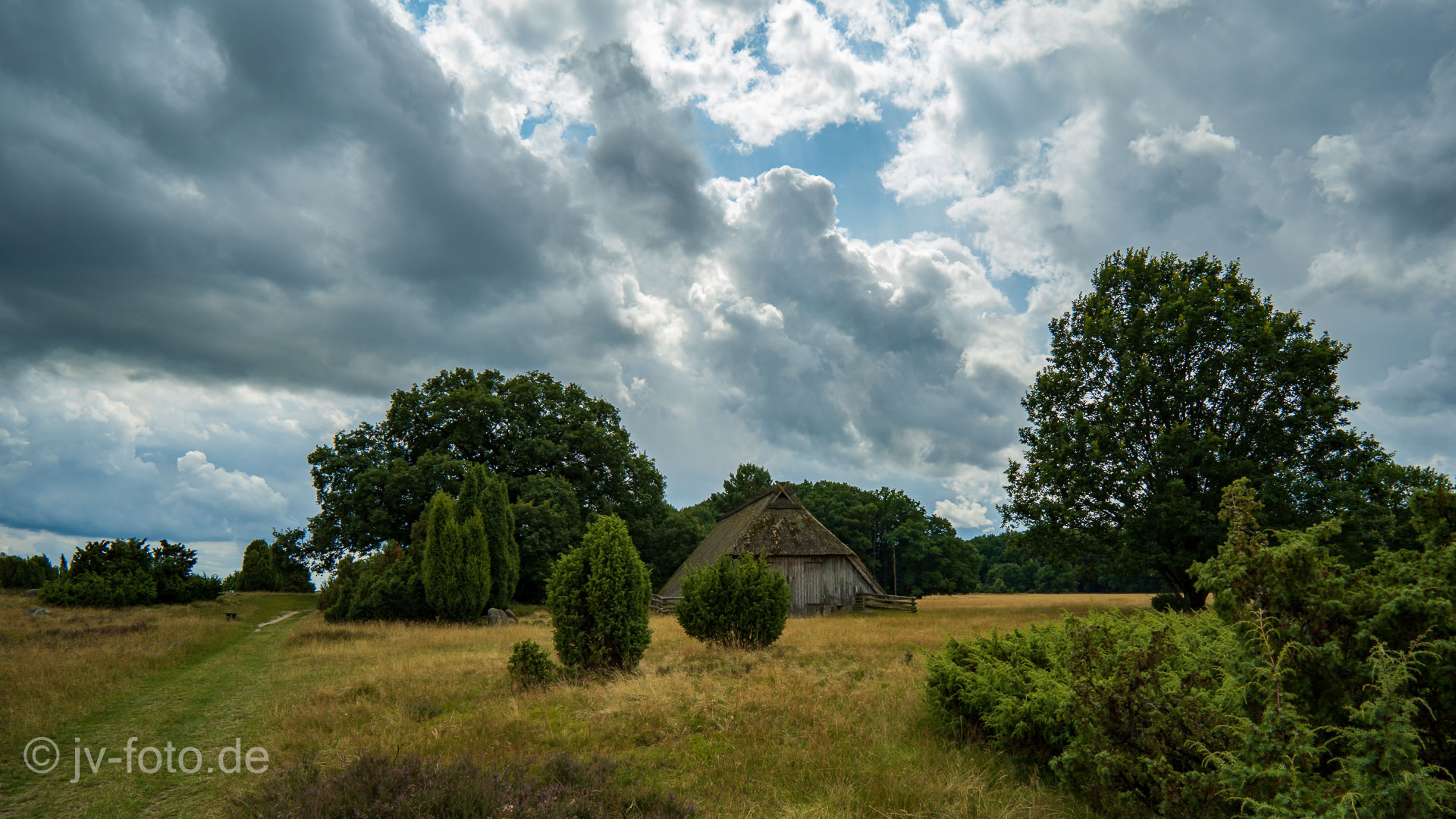 Wilsede