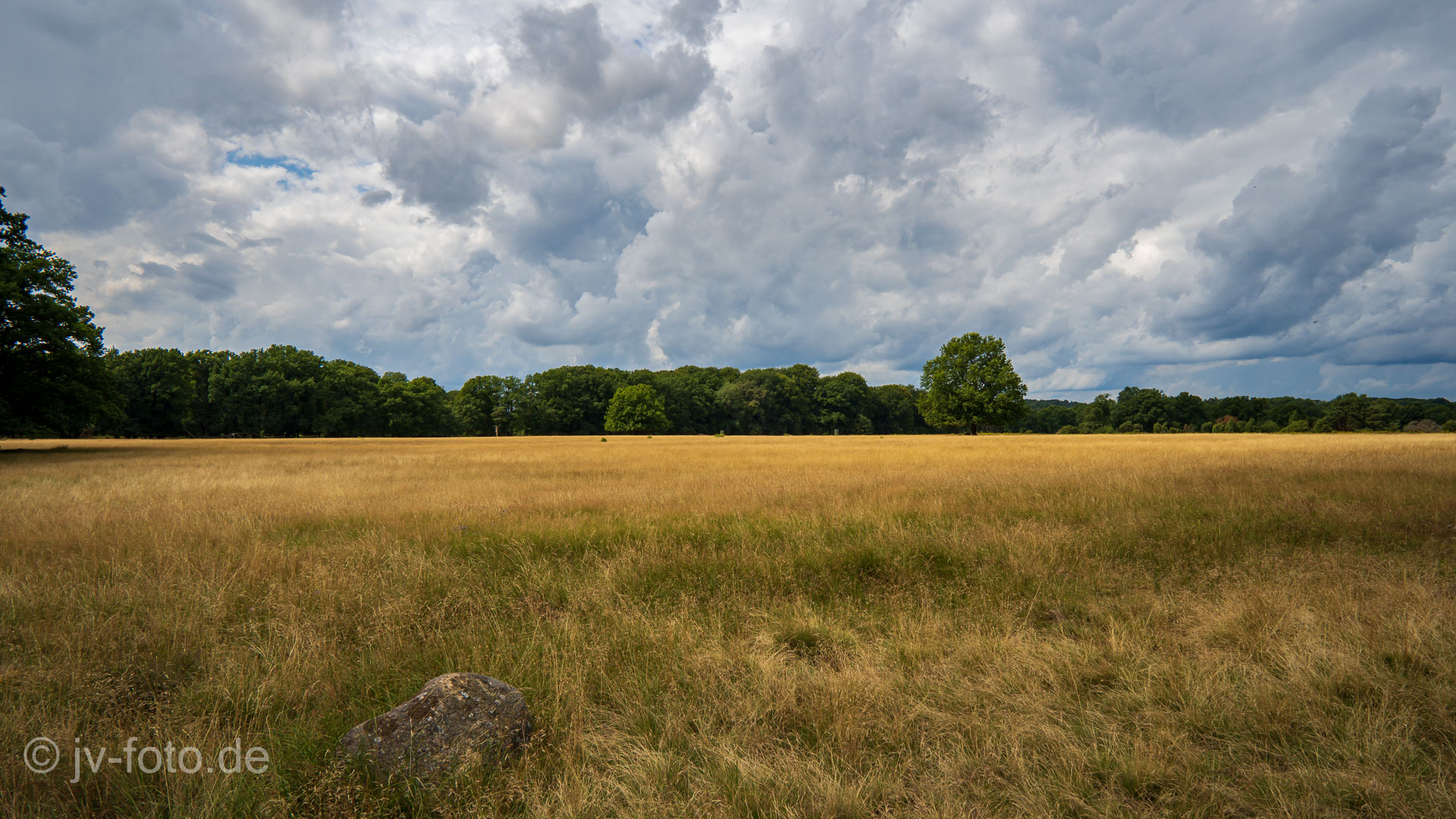 Wilsede