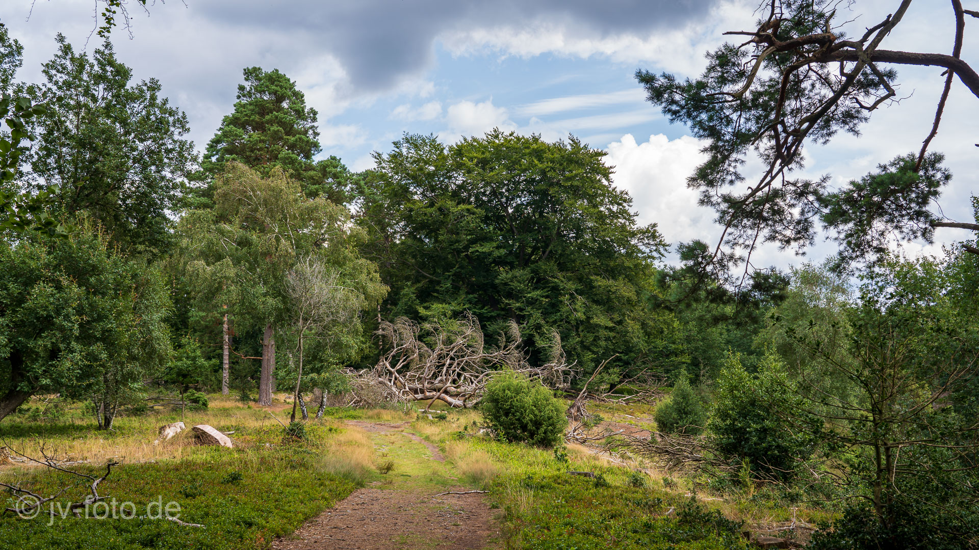 Totengrund