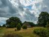 Wilsede