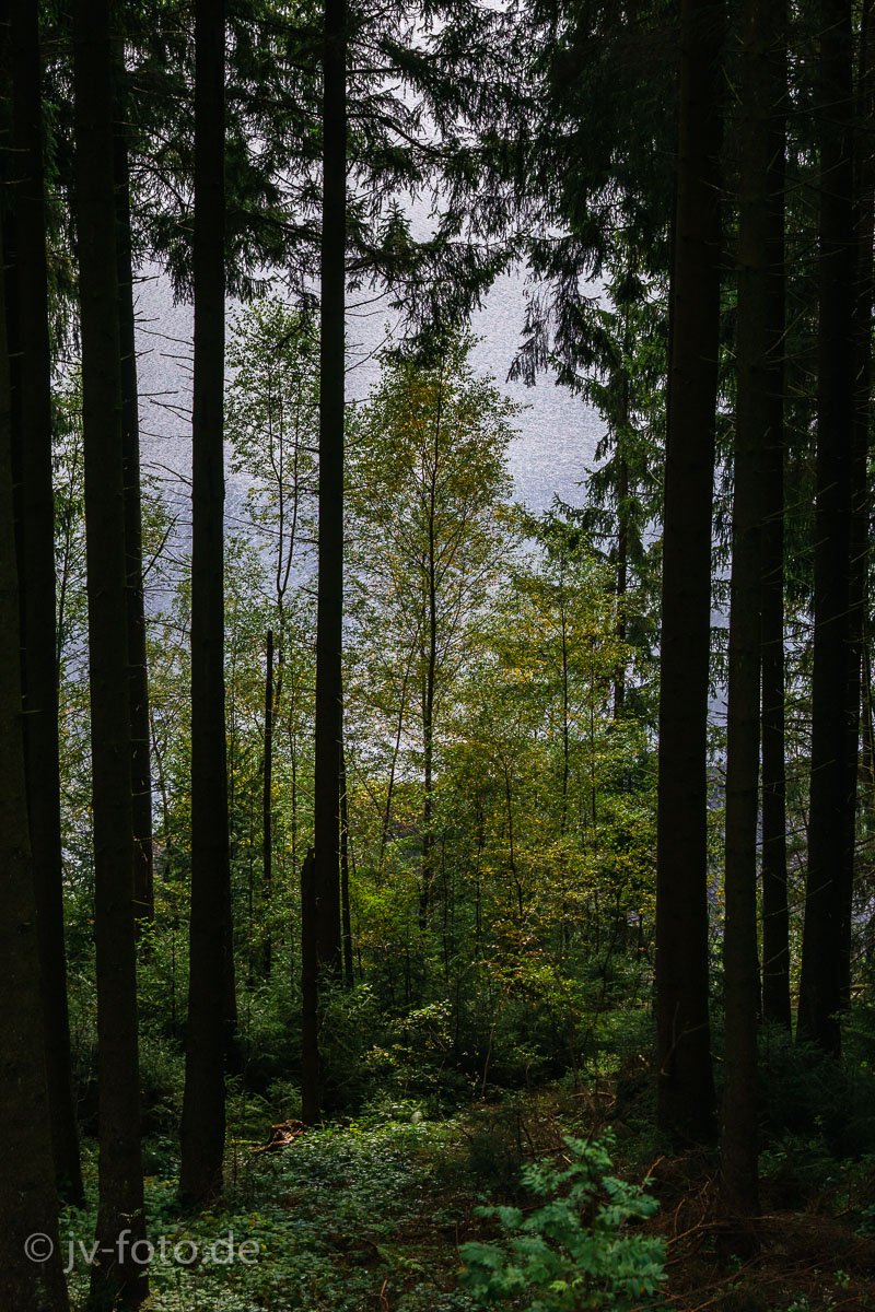 Herbst im Okertal