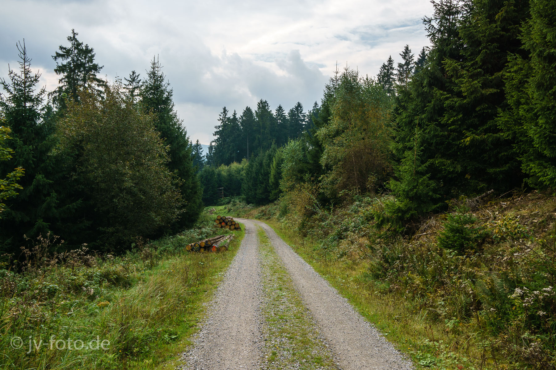 Herbst im Okertal
