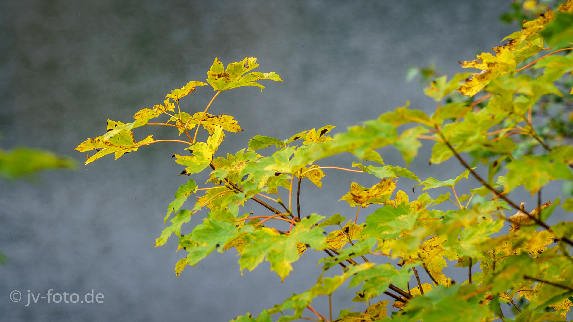 Herbst im Okertal