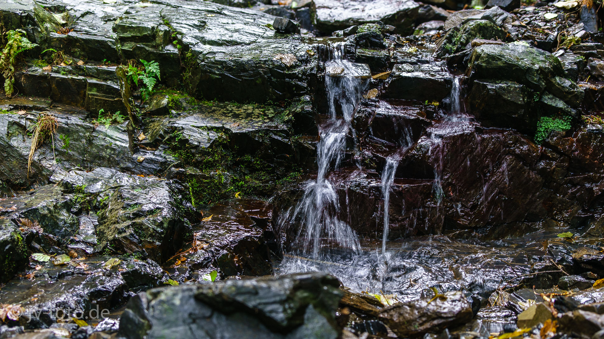 Bachlauf im Okertal