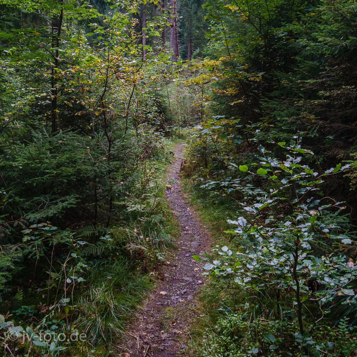 Abstieg von der Ahrendsberger Klippe