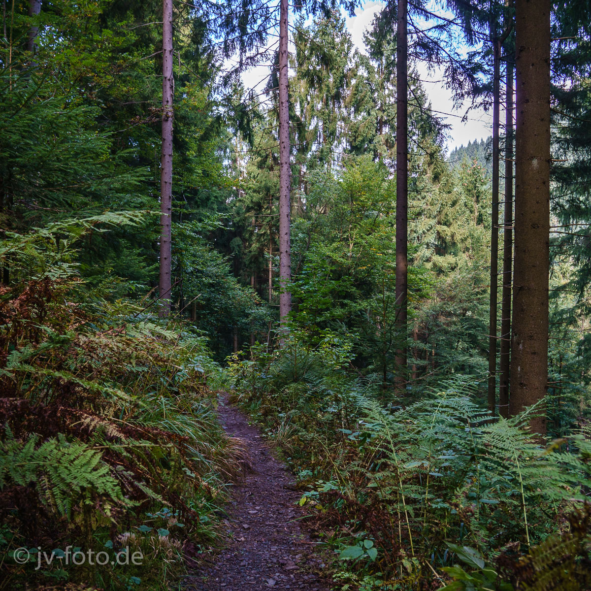 Abstieg von der Ahrendsberger Klippe