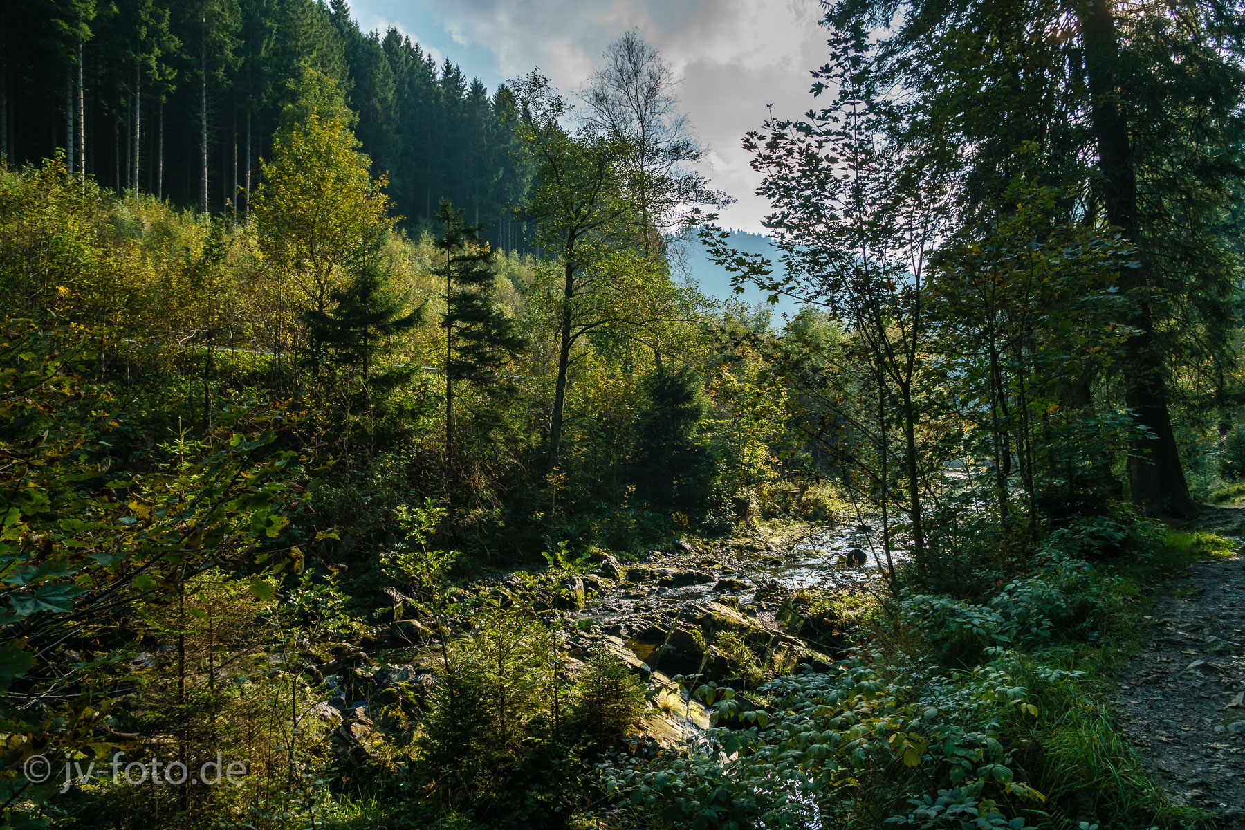 unteres Okertal